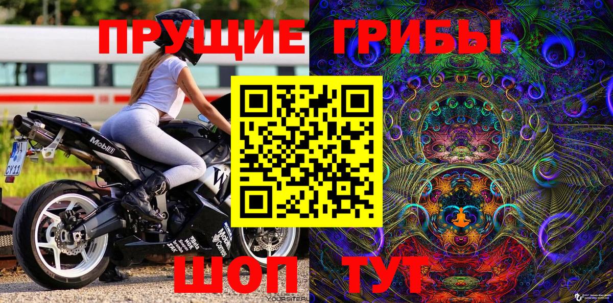 Тайшет  хочу наркоту  Вход с VPN  Псилоцибиновые грибы MAGIC MUSHROOMS  Псилоцибиновые грибы прущие грибы 